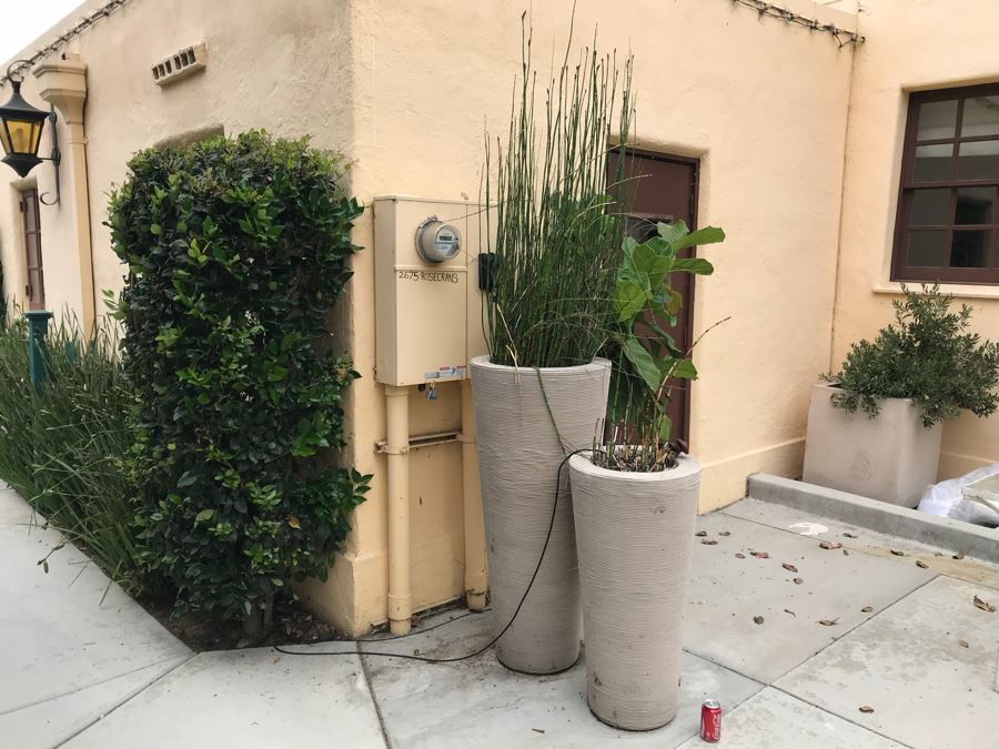 JUST ADDED - Pair Of Large Tapered Round Outdoor Planters With Bamboo Plants - Large Pot Is 4'H And Apx 8'H With Bamboo - WILL Require Professional Delivery Due To Extreme Weight And Size