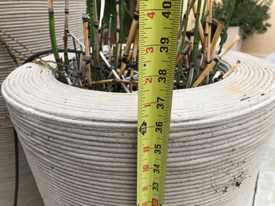 JUST ADDED - Pair Of Large Tapered Round Outdoor Planters With Bamboo Plants - Large Pot Is 4'H And Apx 8'H With Bamboo - WILL Require Professional Delivery Due To Extreme Weight And Size [Photo 8]