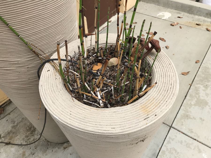 JUST ADDED - Pair Of Large Tapered Round Outdoor Planters With Bamboo Plants - Large Pot Is 4'H And Apx 8'H With Bamboo - WILL Require Professional Delivery Due To Extreme Weight And Size [Photo 6]