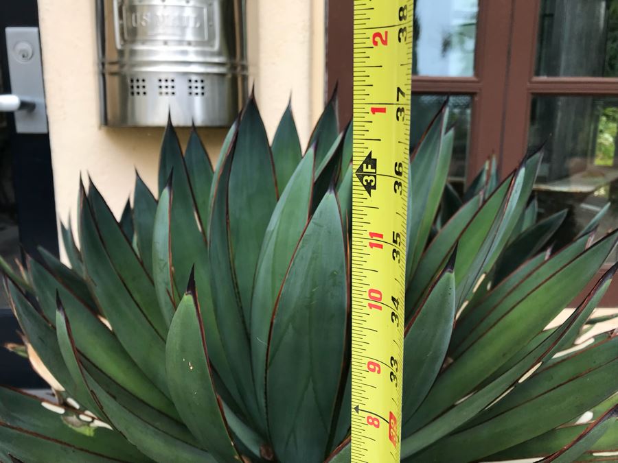 JUST ADDED - Pair Of Foam Planters With Plants (Both Sides Of Door) [Photo 12]