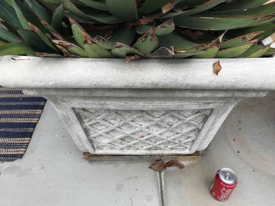 JUST ADDED - Pair Of Foam Planters With Plants (Both Sides Of Door) [Photo 4]