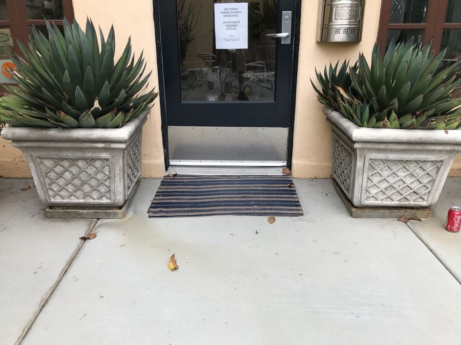 JUST ADDED - Pair Of Foam Planters With Plants (Both Sides Of Door)