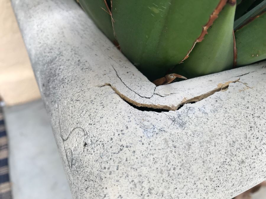 JUST ADDED - Pair Of Foam Planters With Plants (Both Sides Of Door) [Photo 5]