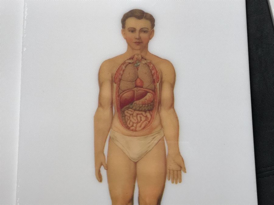 JUST ADDED - (5) NEW The Husband Chopping Boards And (1) NEW The Better Half Chopping Board Design By Sebastian Errazuriz Retails $120 [Photo 3]