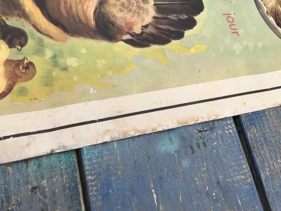 JUST ADDED - Vintage French School Poster Double-Sided Chicken And Egg On One Side, Hatching Butterfly On Other Editions Rossignol - Montmorillon (Vienne) [Photo 10]