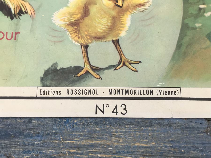 JUST ADDED - Vintage French School Poster Double-Sided Chicken And Egg On One Side, Hatching Butterfly On Other Editions Rossignol - Montmorillon (Vienne) [Photo 5]