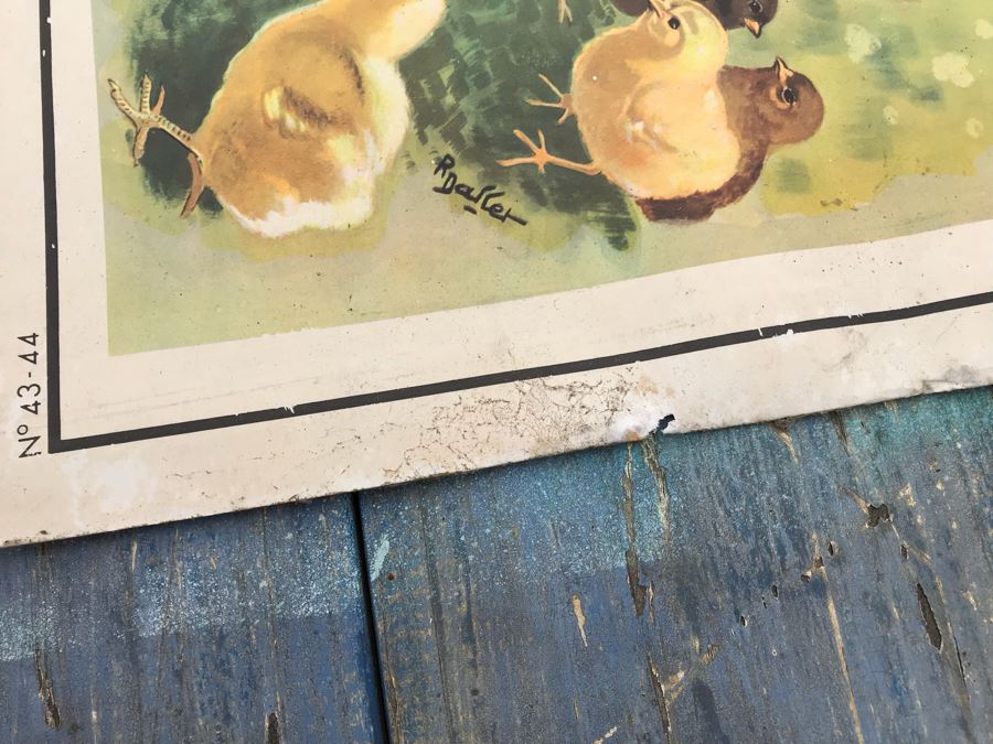 JUST ADDED - Vintage French School Poster Double-Sided Chicken And Egg On One Side, Hatching Butterfly On Other Editions Rossignol - Montmorillon (Vienne) [Photo 9]