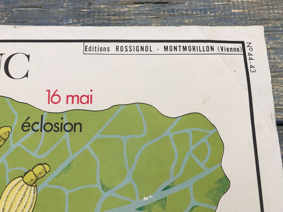 JUST ADDED - Vintage French School Poster Double-Sided Chicken And Egg On One Side, Hatching Butterfly On Other Editions Rossignol - Montmorillon (Vienne) [Photo 15]