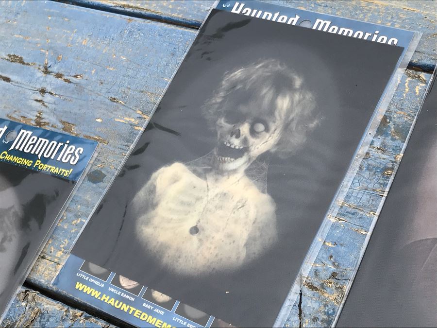JUST ADDED - Collection Of Haunted Memories Spooky 5' X 7' Changing Portraits (5) Are Framed [Photo 18]