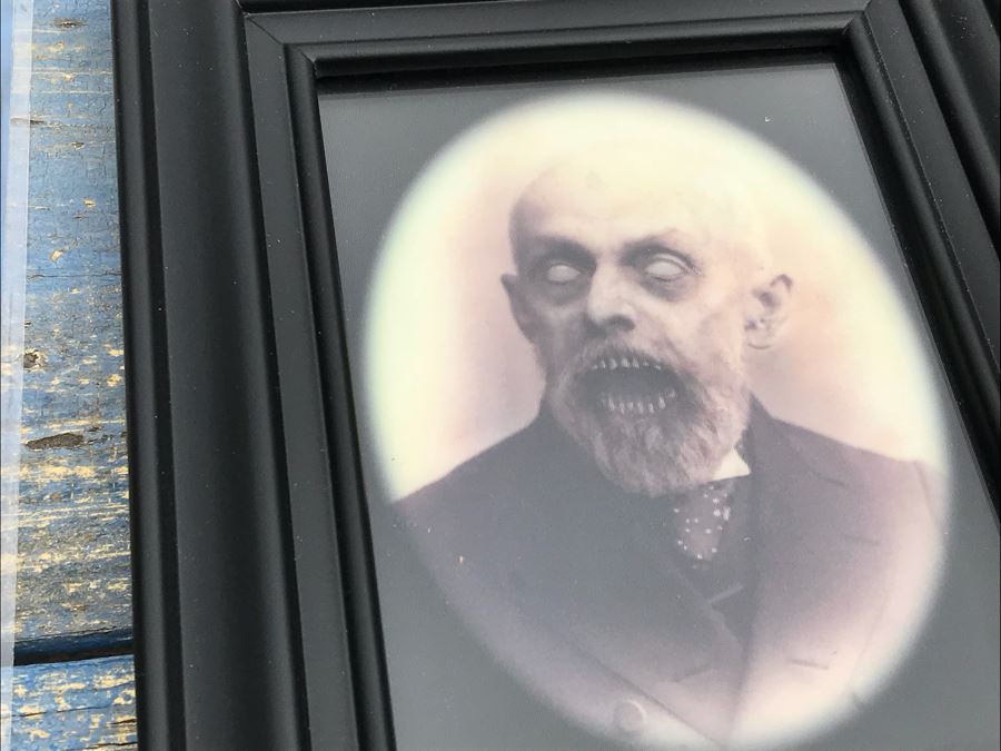JUST ADDED - Collection Of Haunted Memories Spooky 5' X 7' Changing Portraits (5) Are Framed [Photo 7]