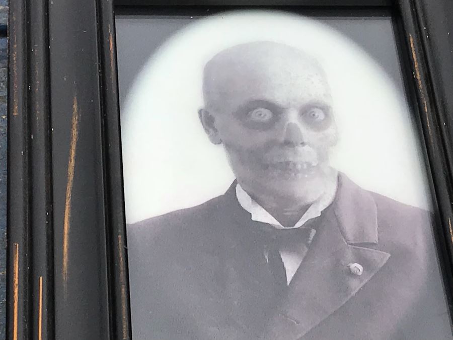 JUST ADDED - Collection Of Haunted Memories Spooky 5' X 7' Changing Portraits (5) Are Framed [Photo 11]