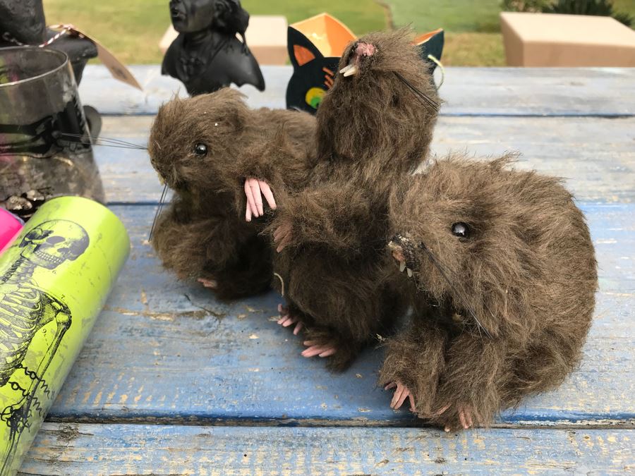 JUST ADDED - Halloween Decoration Lot With Metal Hanging Skeleton And Gargoyle [Photo 8]