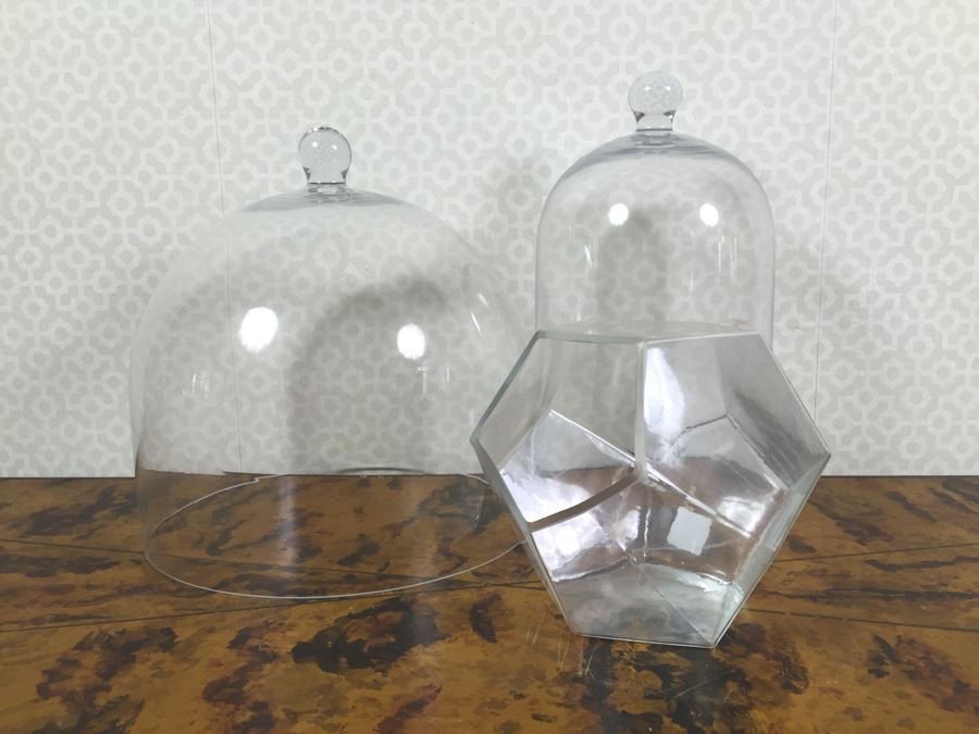 JUST ADDED - (2) Glass Domes And (1) Glass Bowl [Photo 2]