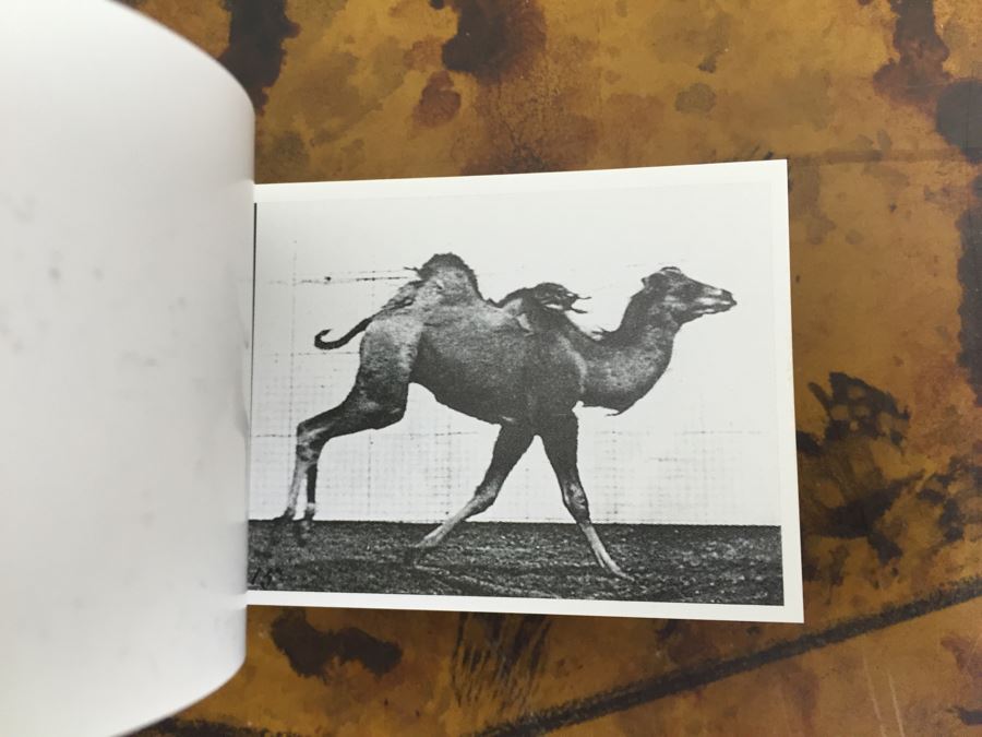 JUST ADDED - Canvas Shopping Bag Lot Filled With New Product Including Notecards, Cards, Gift Tags, Petite Parcel Sets, Desk Name Plate, Keychains - See Photos [Photo 16]