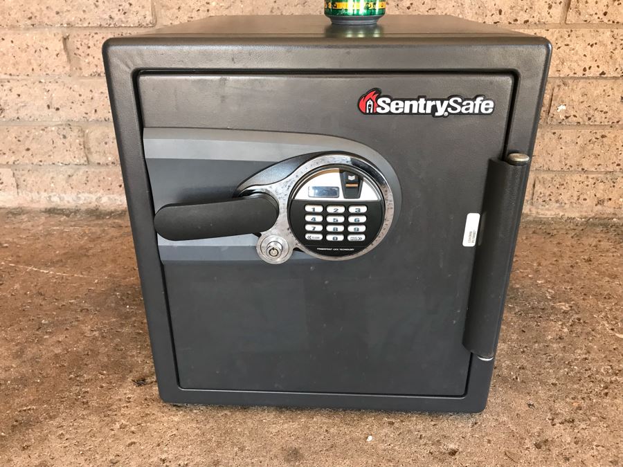 Sentry Safe CSW3910 [Photo 1]