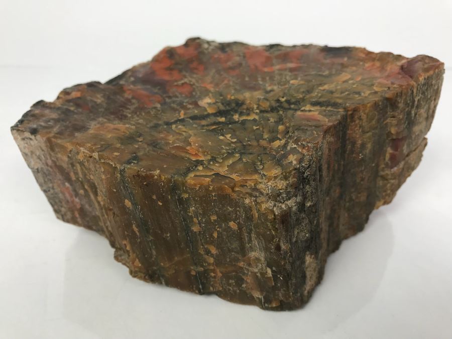 Piece Of Antique Petrified Wood 5'H [Photo 1]
