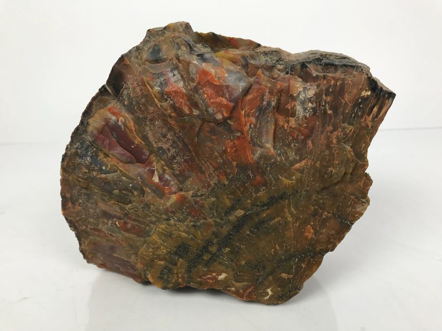 Piece Of Antique Petrified Wood 5'H [Photo 10]