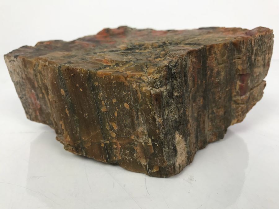 Piece Of Antique Petrified Wood 5'H [Photo 3]