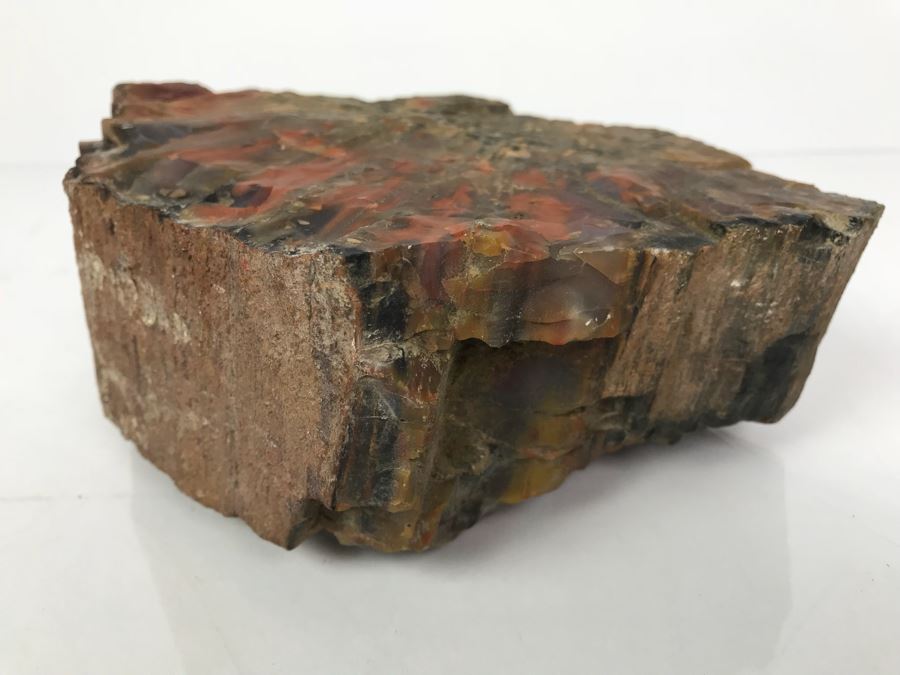 Piece Of Antique Petrified Wood 5'H [Photo 9]