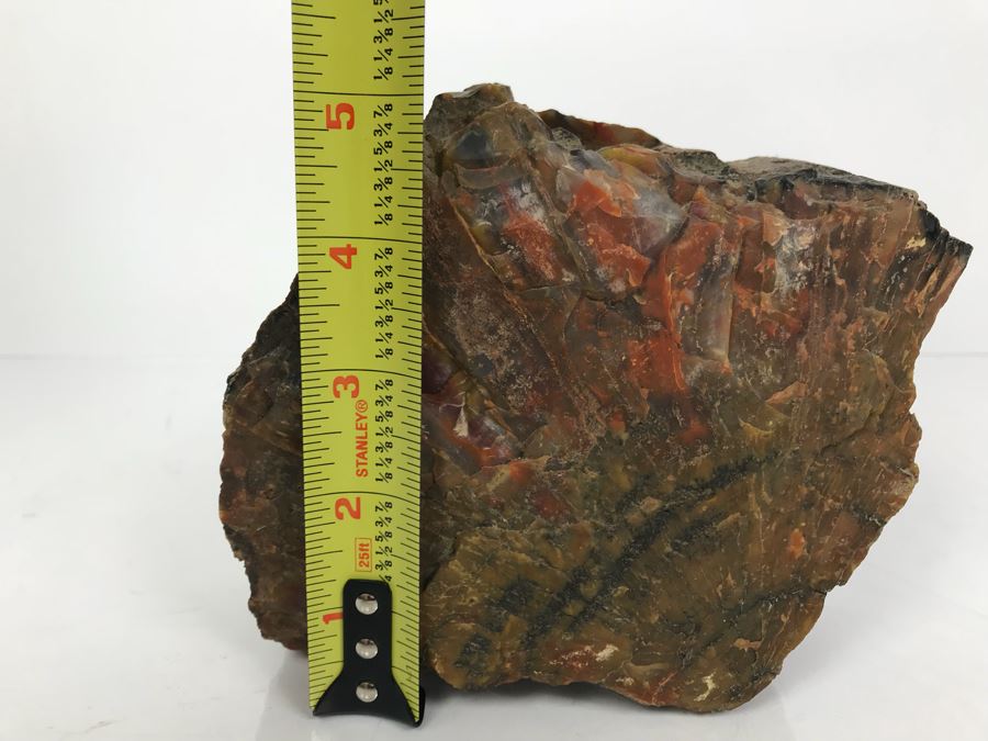Piece Of Antique Petrified Wood 5'H [Photo 12]