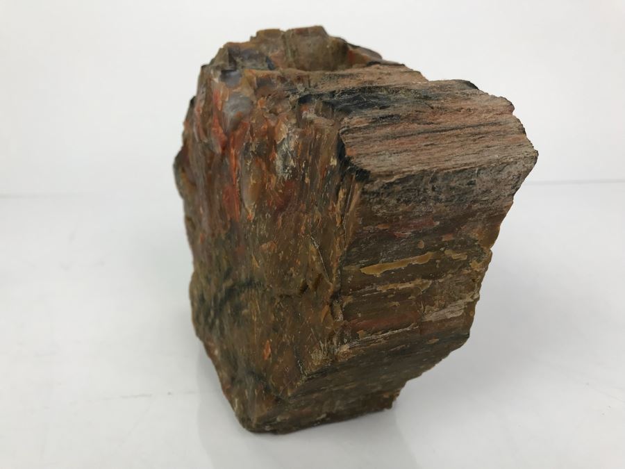 Piece Of Antique Petrified Wood 5'H [Photo 11]