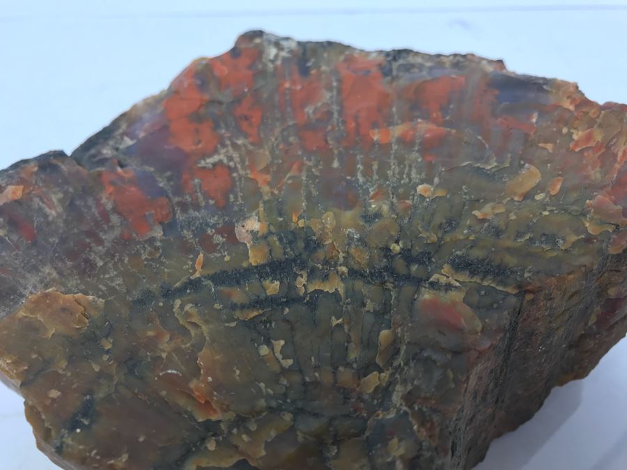 Piece Of Antique Petrified Wood 5'H [Photo 7]