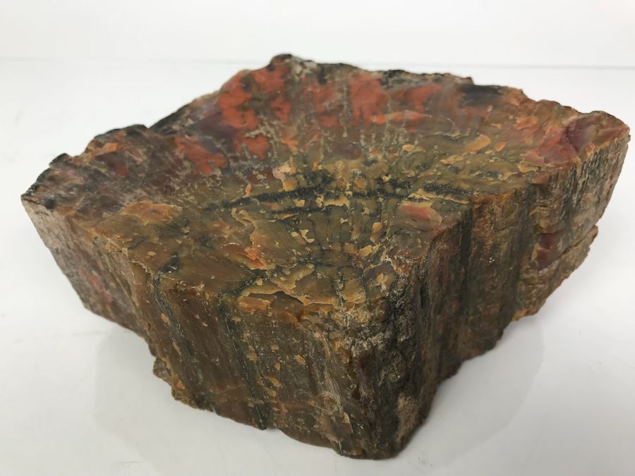 Piece Of Antique Petrified Wood 5'H [Photo 2]
