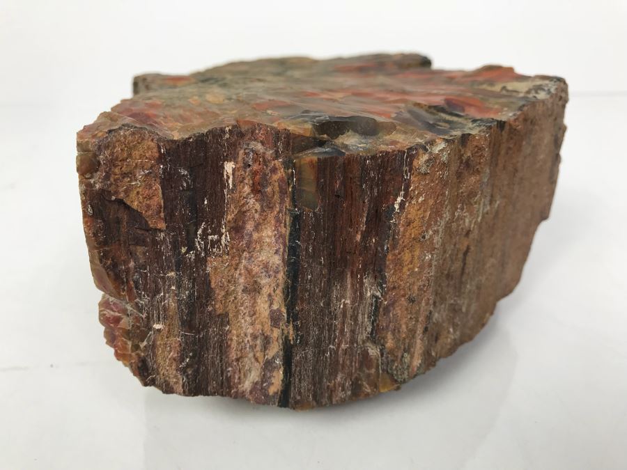 Piece Of Antique Petrified Wood 5'H [Photo 8]