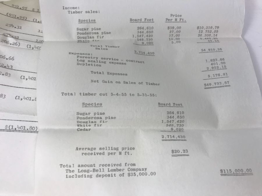 Hearst Consolidated Publications, Inc Treasurer's Report 1955 With Handwritten Notes, Financial Documents And Letters Pertaining To The Hearst Corporations Including Sunical Land & Livestock Division [Photo 29]