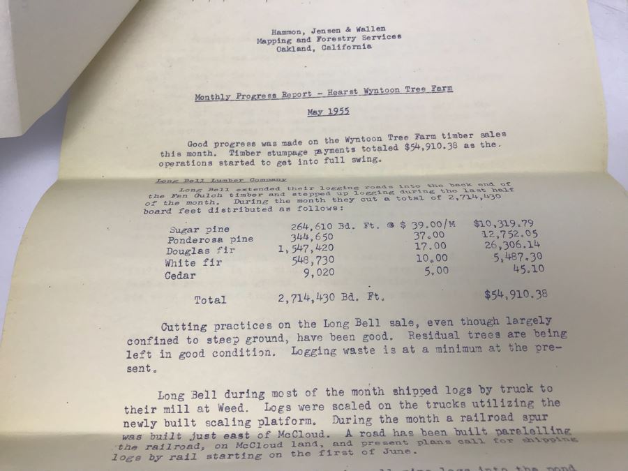 Hearst Consolidated Publications, Inc Treasurer's Report 1955 With