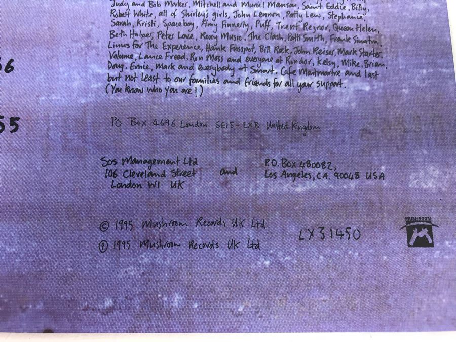 Garbage Band Vinyl Record Signed By Entire Band And Garbage Vinyl Box Set (7 Records Total) [Photo 18]