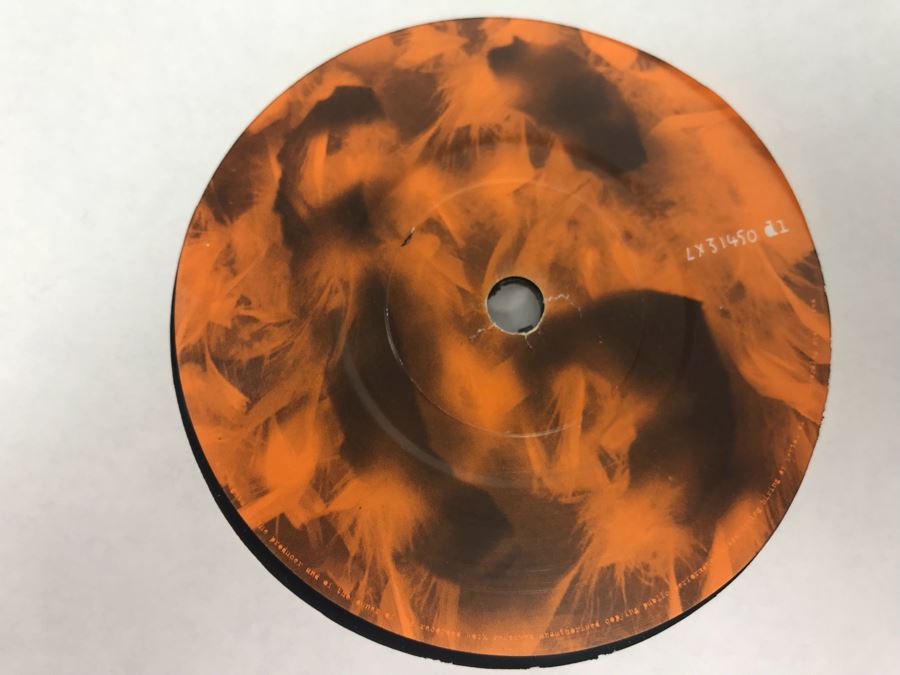 Garbage Band Vinyl Record Signed By Entire Band And Garbage Vinyl Box Set (7 Records Total) [Photo 14]