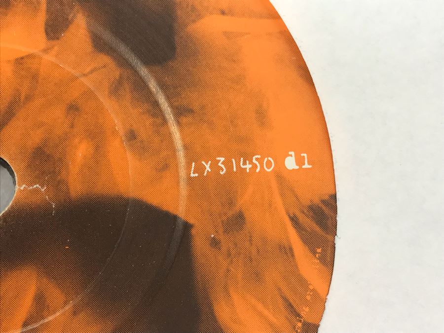 Garbage Band Vinyl Record Signed By Entire Band And Garbage Vinyl Box Set (7 Records Total) [Photo 15]