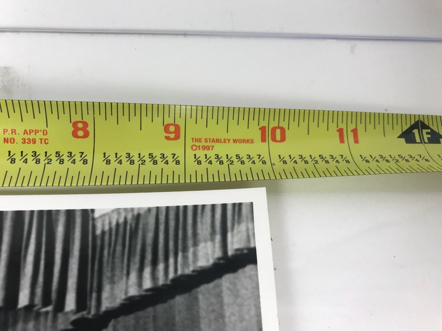 Pair Of Walt Disney Photographs Featuring Fulton Burley Promoting Disney's Movie Pete's Dragon [Photo 7]