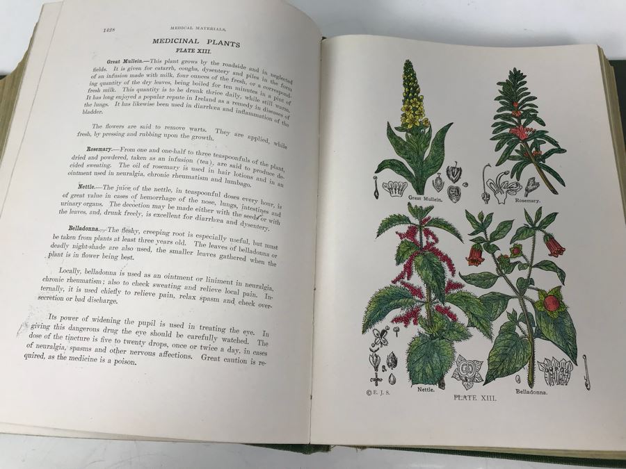 Impressive 1916 Hardcover Book - Library Of Health Complete Guide To Prevention And Cure Of Disease Twenty Books - One Volume By B. Frank Scholl 1,774 Pages With Many Illustrations [Photo 26]