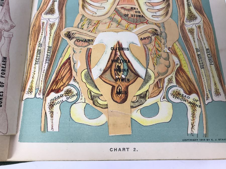Impressive 1916 Hardcover Book - Library Of Health Complete Guide To Prevention And Cure Of Disease Twenty Books - One Volume By B. Frank Scholl 1,774 Pages With Many Illustrations [Photo 19]