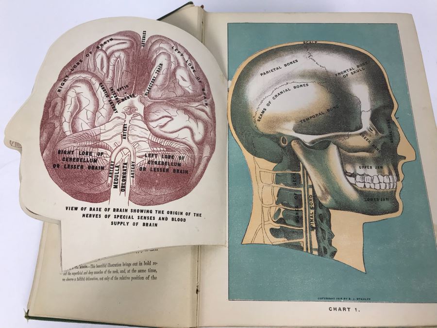Impressive 1916 Hardcover Book - Library Of Health Complete Guide To Prevention And Cure Of Disease Twenty Books - One Volume By B. Frank Scholl 1,774 Pages With Many Illustrations [Photo 16]