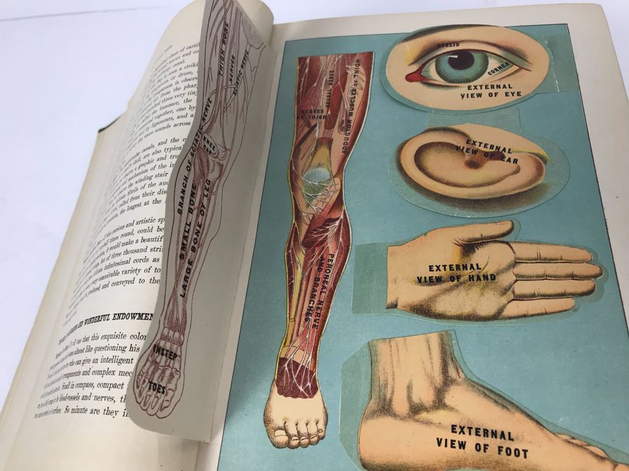 Impressive 1916 Hardcover Book - Library Of Health Complete Guide To Prevention And Cure Of Disease Twenty Books - One Volume By B. Frank Scholl 1,774 Pages With Many Illustrations [Photo 23]