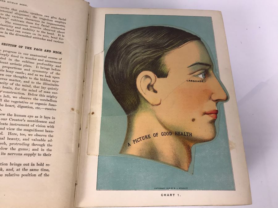 Impressive 1916 Hardcover Book - Library Of Health Complete Guide To ...