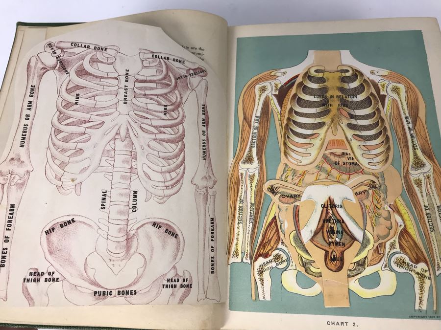Impressive 1916 Hardcover Book - Library Of Health Complete Guide To Prevention And Cure Of Disease Twenty Books - One Volume By B. Frank Scholl 1,774 Pages With Many Illustrations [Photo 18]