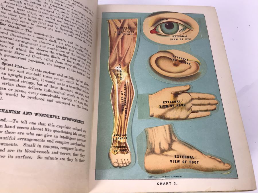 Impressive 1916 Hardcover Book - Library Of Health Complete Guide To Prevention And Cure Of Disease Twenty Books - One Volume By B. Frank Scholl 1,774 Pages With Many Illustrations [Photo 22]