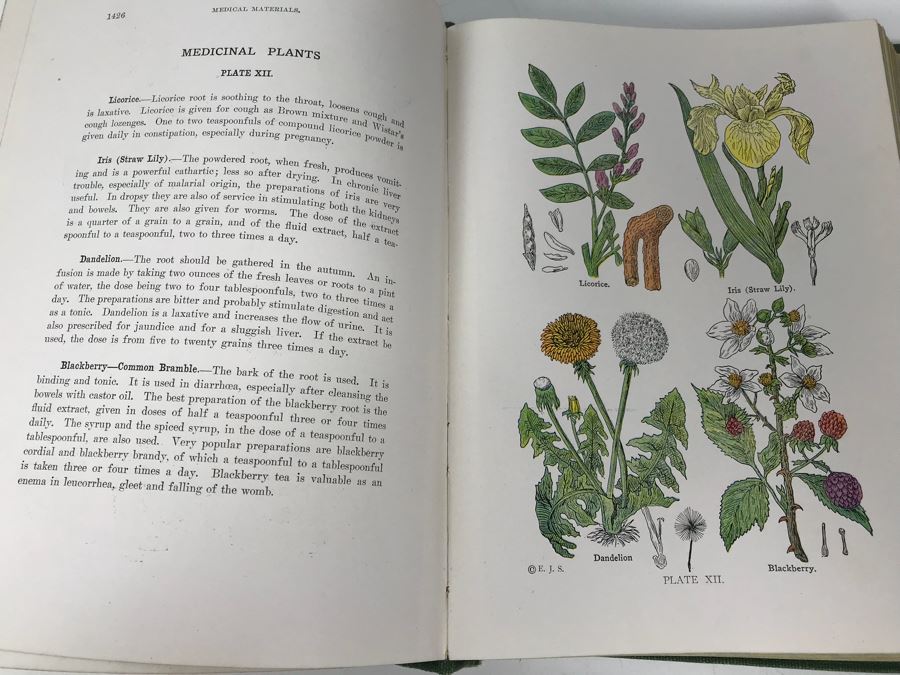 Impressive 1916 Hardcover Book - Library Of Health Complete Guide To Prevention And Cure Of Disease Twenty Books - One Volume By B. Frank Scholl 1,774 Pages With Many Illustrations [Photo 25]