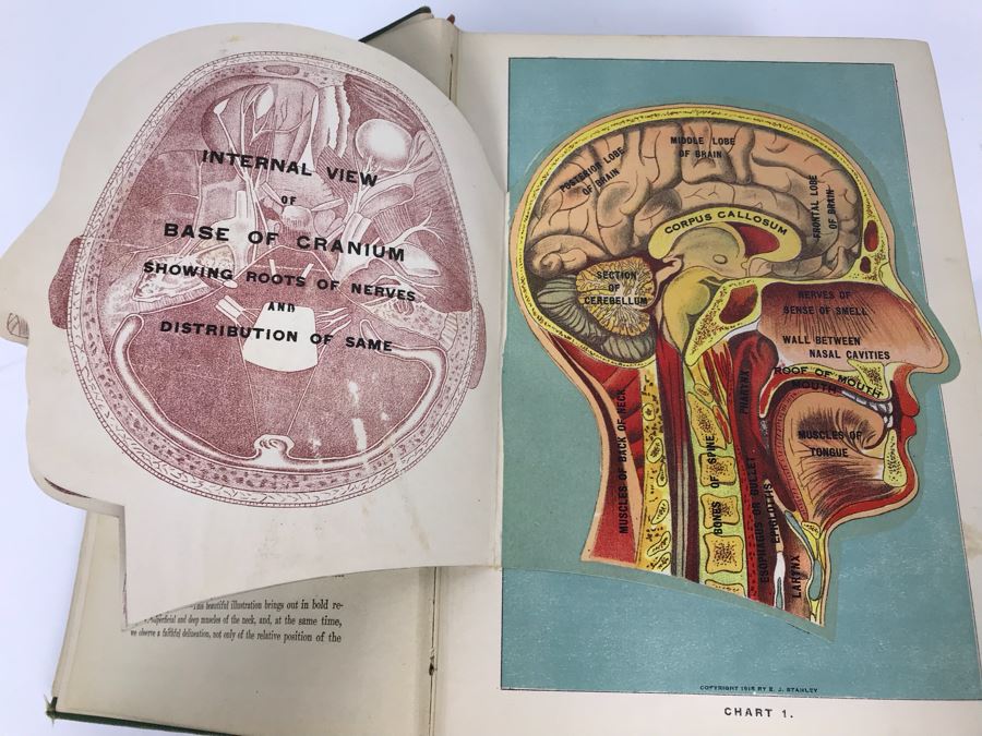 Impressive 1916 Hardcover Book - Library Of Health Complete Guide To Prevention And Cure Of Disease Twenty Books - One Volume By B. Frank Scholl 1,774 Pages With Many Illustrations [Photo 15]
