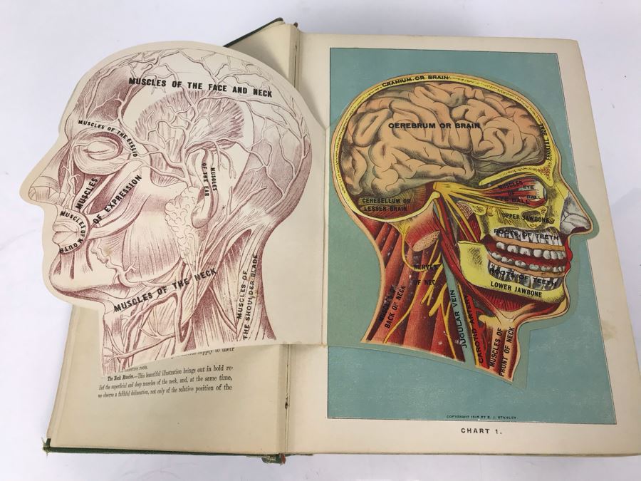 Impressive 1916 Hardcover Book - Library Of Health Complete Guide To Prevention And Cure Of Disease Twenty Books - One Volume By B. Frank Scholl 1,774 Pages With Many Illustrations [Photo 2]