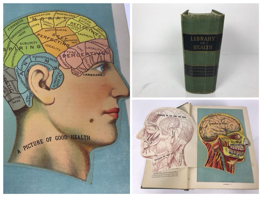 Impressive 1916 Hardcover Book - Library Of Health Complete Guide To Prevention And Cure Of Disease Twenty Books - One Volume By B. Frank Scholl 1,774 Pages With Many Illustrations