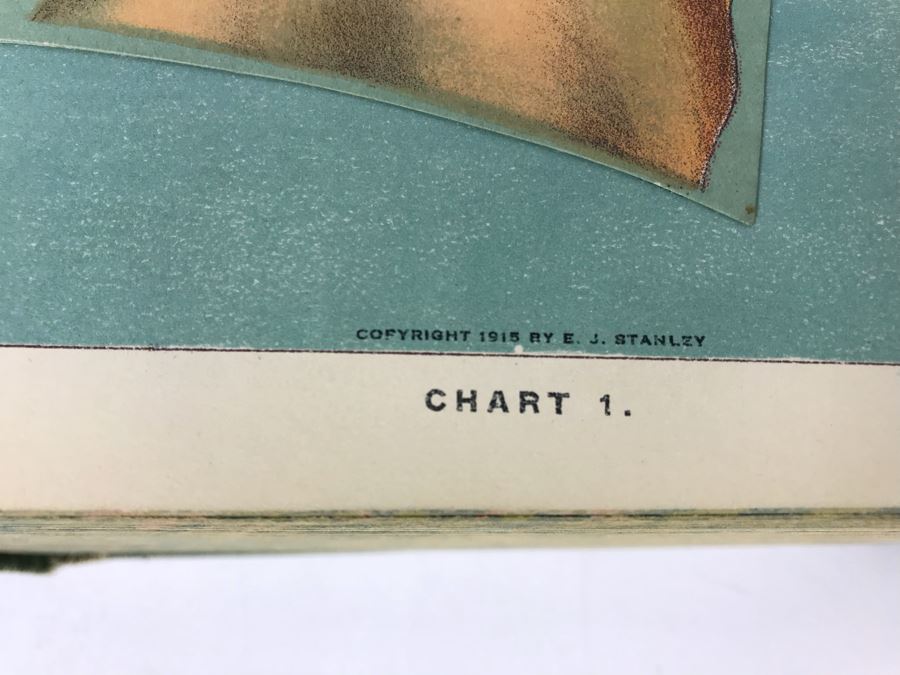 Impressive 1916 Hardcover Book - Library Of Health Complete Guide To Prevention And Cure Of Disease Twenty Books - One Volume By B. Frank Scholl 1,774 Pages With Many Illustrations [Photo 13]