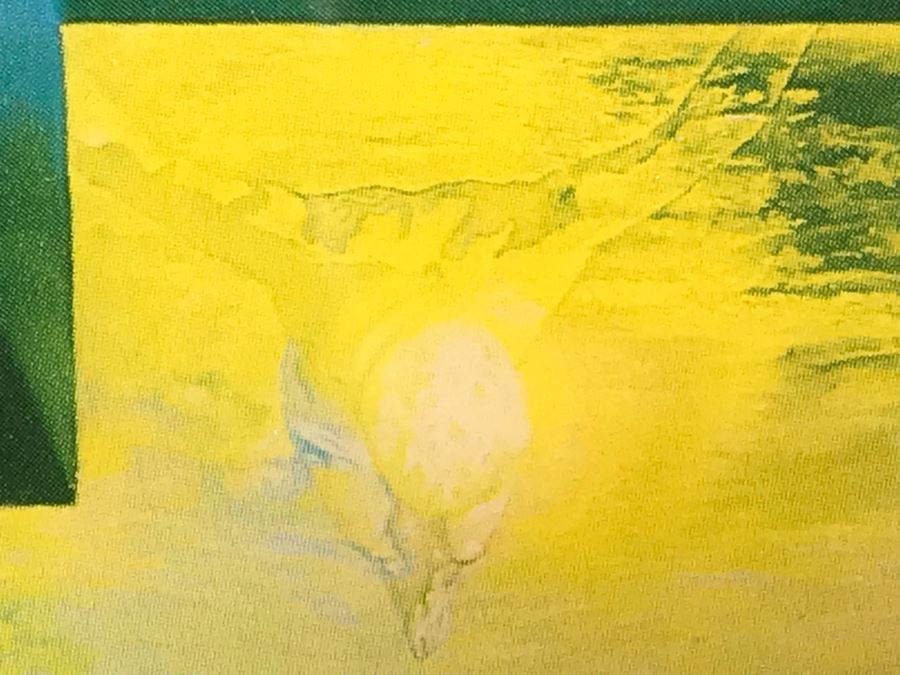 Salvador Dali Decorative Print Of 'Lincoln in Dalivision' 12' X 14' [Photo 9]