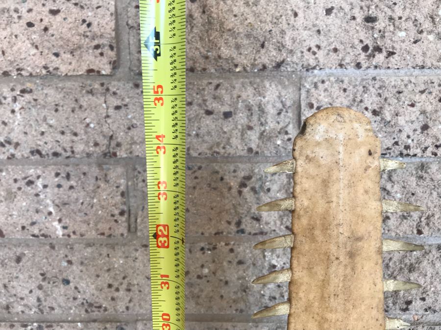 Vintage Sawfish Rostrum Taxidermy Sculpture On Lucite Base 35'H [Photo 9]