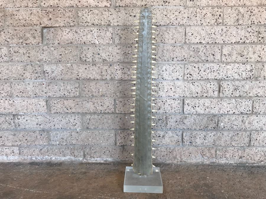 Vintage Sawfish Rostrum Taxidermy Sculpture On Lucite Base 35'H [Photo 8]