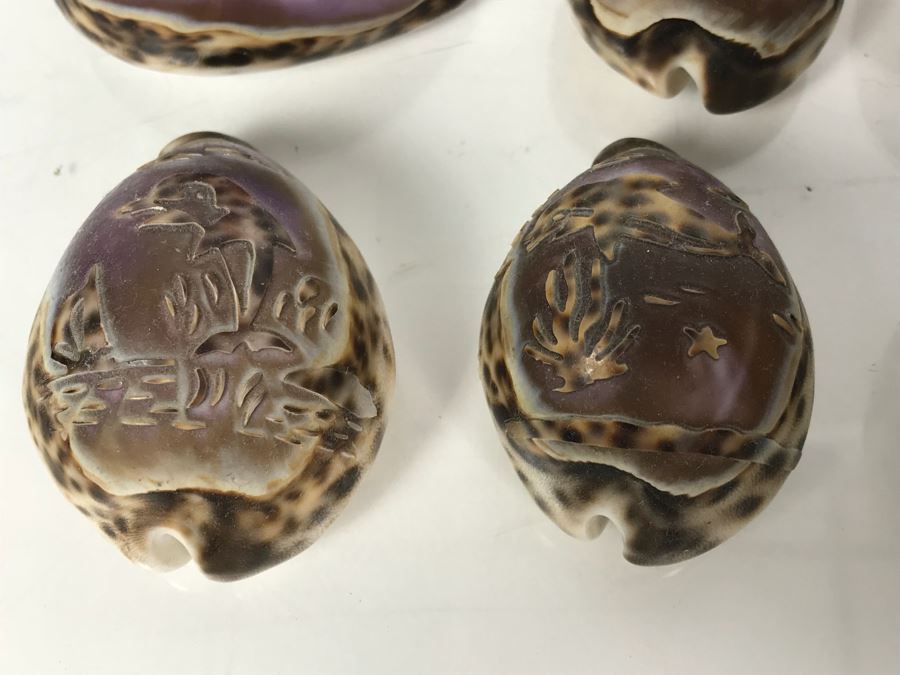 Collection Of (6) Carved Shells, Carved Wooden Horse And Carved Stone Turtle [Photo 4]